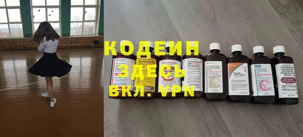 шишки Покачи