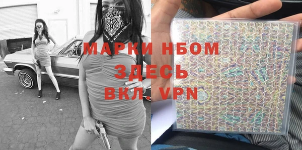 шишки Покачи
