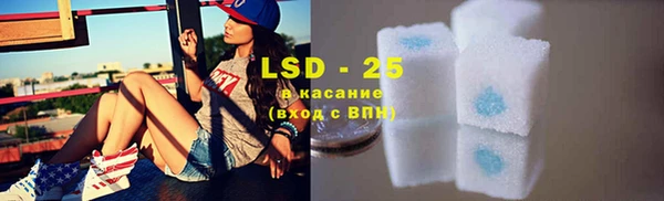шишки Покачи