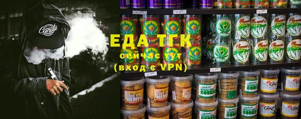 стафф Арсеньев