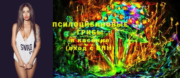 ГАЛЛЮЦИНОГЕННЫЕ ГРИБЫ Алексин