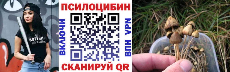 блэк спрут ссылка  Мантурово  Псилоцибиновые грибы ЛСД  дарнет шоп 